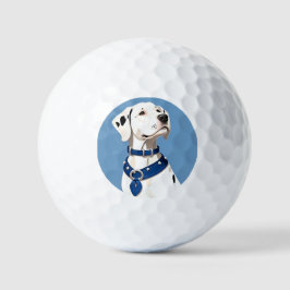 Dalmatiner Hund mit blauem Collar Golfball