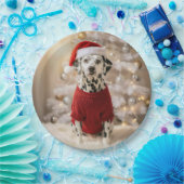 Dalmatiner-Hund mit rotem Weihnachtspullover Pappteller (Party)