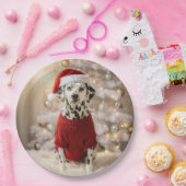 Dalmatiner-Hund mit rotem Weihnachtspullover Pappteller (Party)