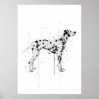 Dalmatiner Hund Poster