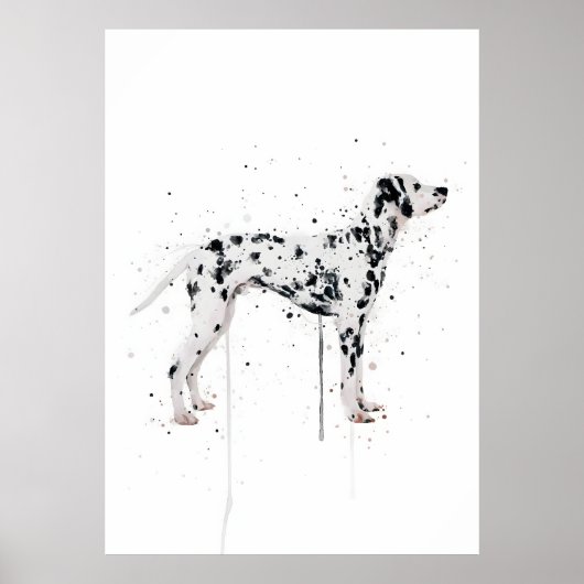 Dalmatiner Hund Poster (Vorne)