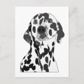 Dalmatiner Hund Postkarte (Vorderseite)