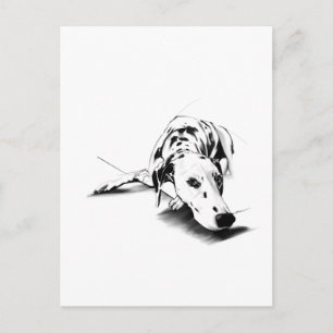 Dalmatiner-Hund-Postkarte – Handgezeichnet Postkarte