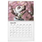 Dalmatiner-Hundekalender Kalender (Feb 2027)