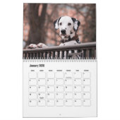 Dalmatiner-Hundekalender Kalender (Jan 2026)