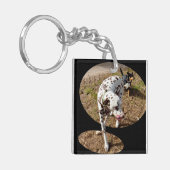 Dalmatiner Illusion Window Art Schlüsselanhänger (Vorderseite links)