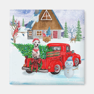 Dalmatiner im Weihnachtslieferwagen Schnee Magnet