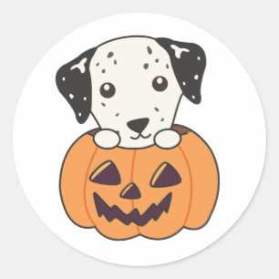 Dalmatiner in Pumpkin Sweet Hunde Happy Halloween  Runder Aufkleber