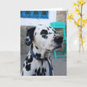 Dalmatiner Karte (Gelbe Blume)