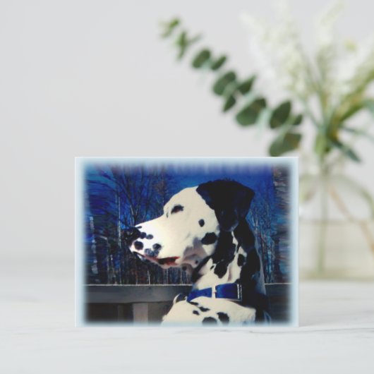 Dalmatiner "Kelso" ~ Postkarte (Stehend Vorderseite)