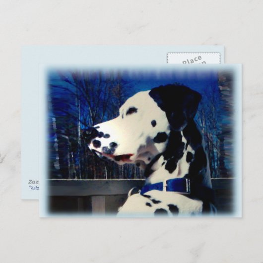 Dalmatiner "Kelso" ~ Postkarte (Vorne/Hinten)