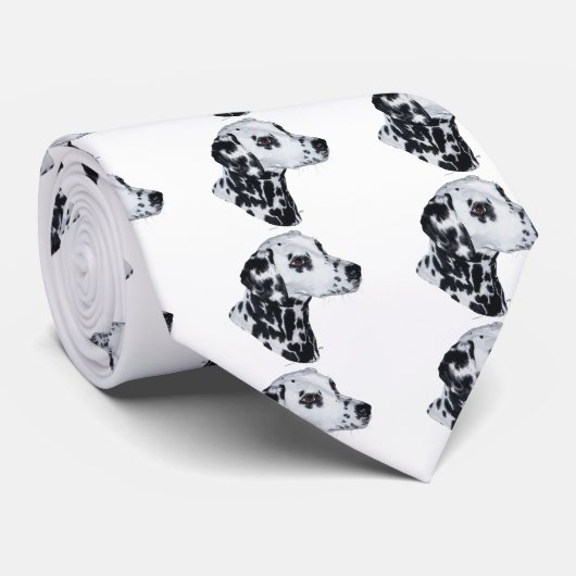 Dalmatiner Krawatte (Gerollt)