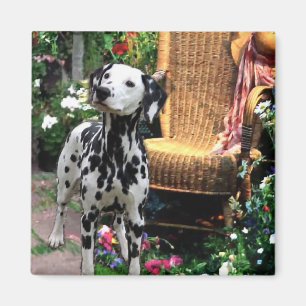 Dalmatiner Kunstgeschenke Magnet