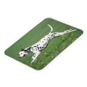 Dalmatiner läuft magnet (Linke Seite)