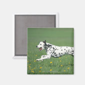 Dalmatiner läuft magnet (Vorderseite/Rückseite)