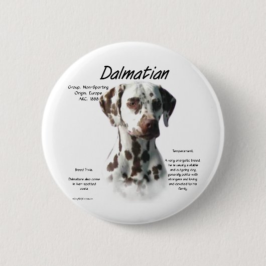 Dalmatiner (Leber) Historie Button (Vorderseite)