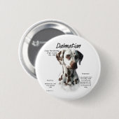 Dalmatiner (Leber) Historie Button (Vorne & Hinten)