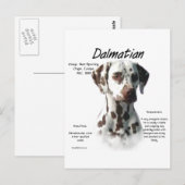 Dalmatiner (Leber) Historie Postkarte (Vorne/Hinten)