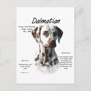 Dalmatiner (Leber) Historie Postkarte