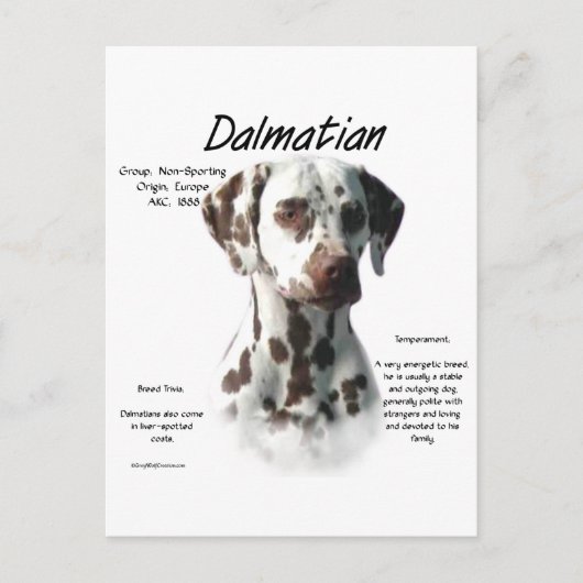 Dalmatiner (Leber) Historie Postkarte (Vorderseite)
