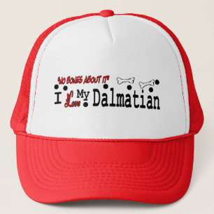 DALMATINER Liebhaber Geschenke Truckerkappe