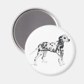 Dalmatiner Magnet (Vorderseite/Rückseite)