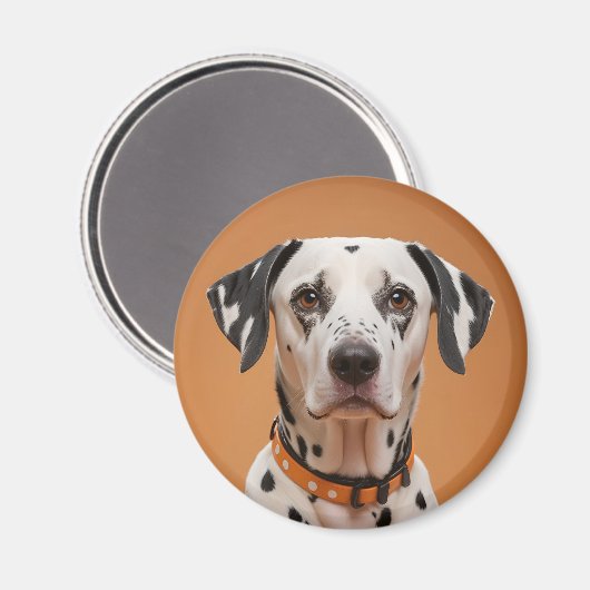 Dalmatiner Magnet (Vorderseite/Rückseite)