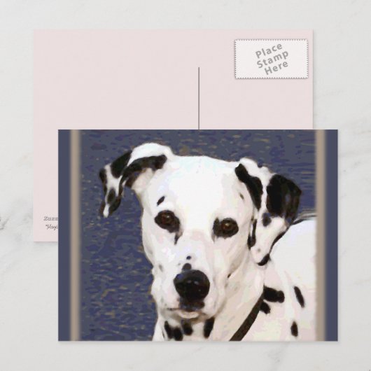 Dalmatiner "Mayday" ~ Postkarte (Vorne/Hinten)