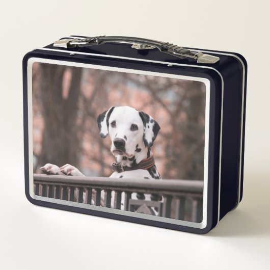 Dalmatiner Metall Brotdose (Rückseite)