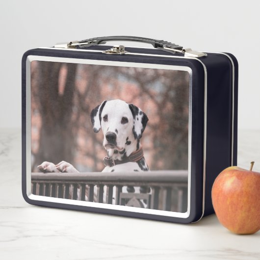 Dalmatiner Metall Brotdose (Beispiel)