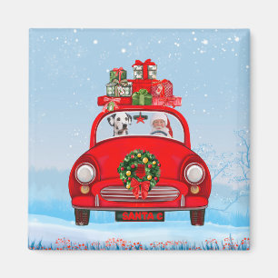 Dalmatiner mit dem Weihnachtsmann im Auto Magnet
