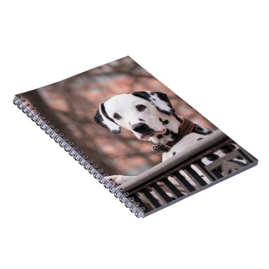 Dalmatiner Notizblock (Rechte Seite)