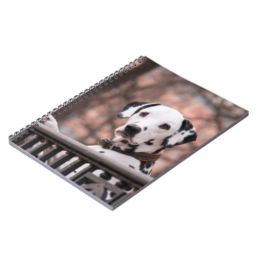 Dalmatiner Notizblock (Linke Seite)