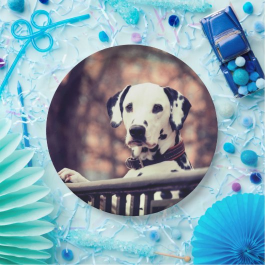 Dalmatiner Pappteller (Party)