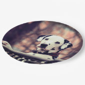 Dalmatiner Pappteller (Schrägansicht)