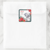 Dalmatiner Poinsettia - Weihnachten Quadratischer Aufkleber (Tasche)