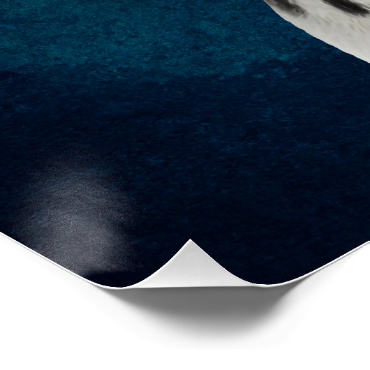 Dalmatiner Poster (Ecke)