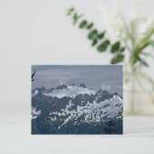 Dalmatiner Postkarte (Stehend Vorderseite)