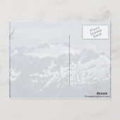 Dalmatiner Postkarte (Rückseite)