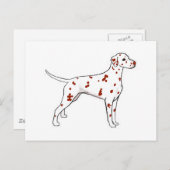 Dalmatiner Postkarte (Vorne/Hinten)