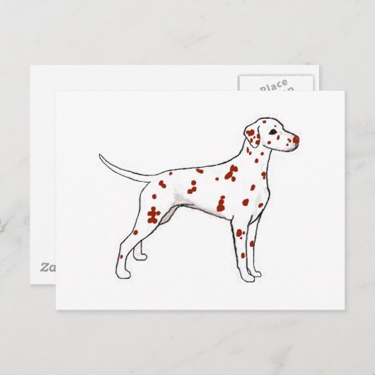 Dalmatiner Postkarte (Vorne/Hinten)