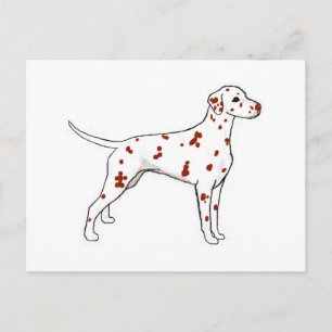 Dalmatiner Postkarte