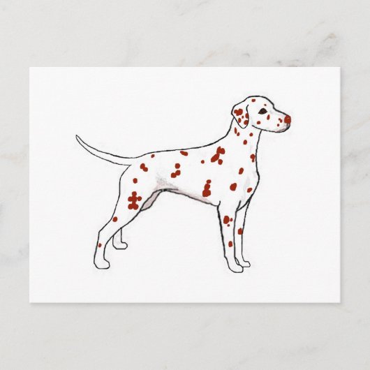 Dalmatiner Postkarte (Vorderseite)