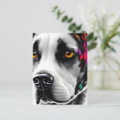 Dalmatiner, Postübergang Postkarte (Stehend Vorderseite)