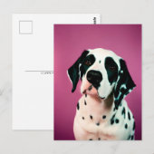 Dalmatiner, Postübergang Postkarte (Vorne/Hinten)