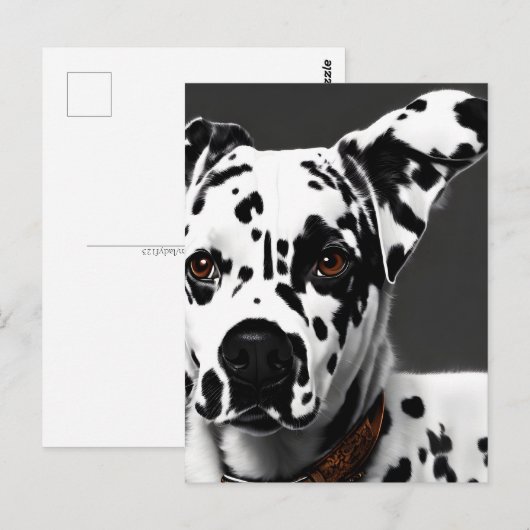 Dalmatiner, Postübergang Postkarte (Vorne/Hinten)