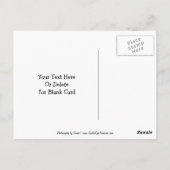 Dalmatiner Puppy Butterfells Anpassbare Postkarte (Rückseite)