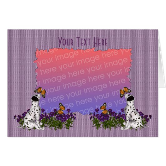 Dalmatiner Puppy Butterfells Foto (Vorderseite (Horizontal))