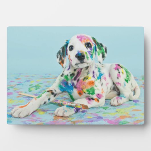 Dalmatiner Puppy Fotoplatte (Vorderseite)