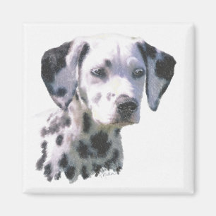 Dalmatiner Puppy Magnet